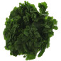 SALADE SCAROLE 6PCS